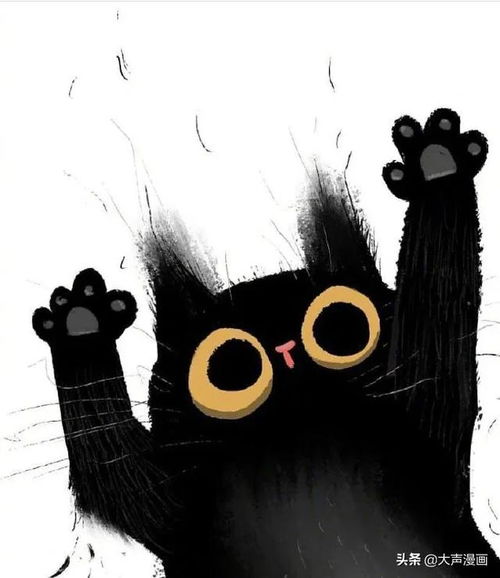 炸毛的黑猫咪萌宠漫画