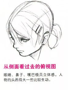 动漫漫画技巧仰视图和俯视图的画法