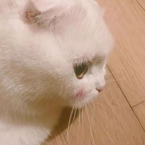 萌系头像下雨了是我想亲亲你