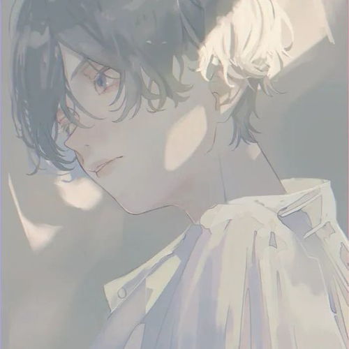 动漫男头小小的事情里总是蕴藏着大大的难过