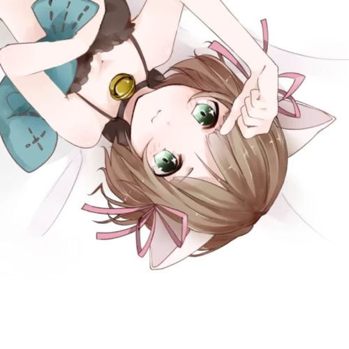 猫耳开关