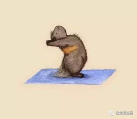 他笔下的小豚鼠又软又萌lesleydesantis创意插画