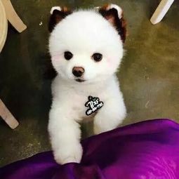 拽得有霸气的话,一句足以给你内心凌乱