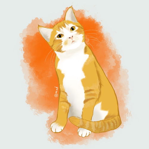 淘宝蒙啊朵的店猫狗宠物头像卡通定制手绘真人漫画q版萌宠设计装饰diy礼物半写实狗狗画狗画猫汪星人喵星人猫咪可爱宠物萌宠铲屎官猫粮狗粮哈士奇拉布拉多金毛泰迪柯基雪纳瑞边牧秋田柴犬博美阿拉斯加吸猫布偶猫幼猫英短蓝猫田园猫奶牛猫缅因无毛猫宠物插画狗狗猫