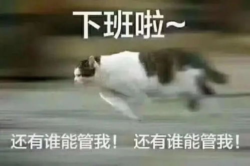 当代打工人上班像上坟,晚上才像个人