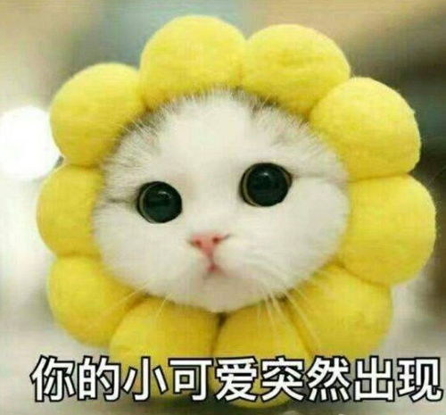 再上4天班,杭州人集体放假还有一大波好消息在等着你