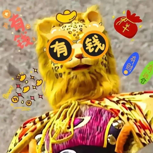 换上这只金钱豹,你指定暴富