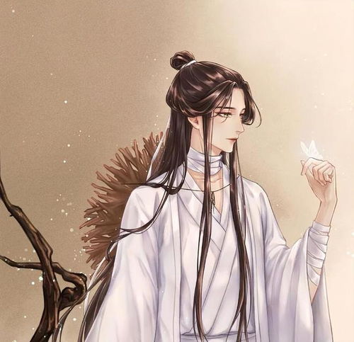 天官赐福地师男相又帅又a,嫌丢脸不认风师,谢怜评论花式顽皮