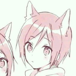 求类似的猫耳情头