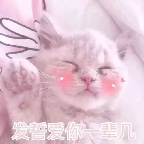 沙雕表情包亲亲就不难过了哦