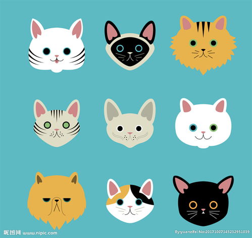 猫咪头像矢量图插画