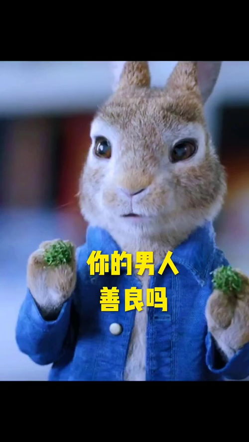 你家的男人是这样不兔兔动漫
