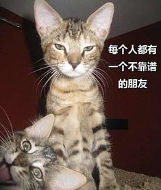 开心一刻,搞笑图,雷人,段子,内涵,美女图片两性频道