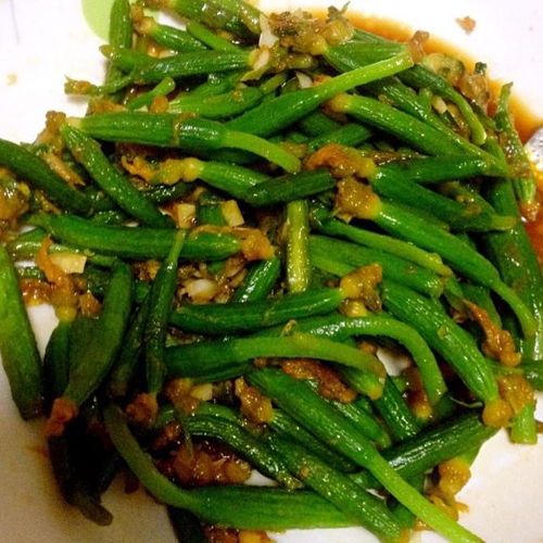 快手清炒黄瓜花