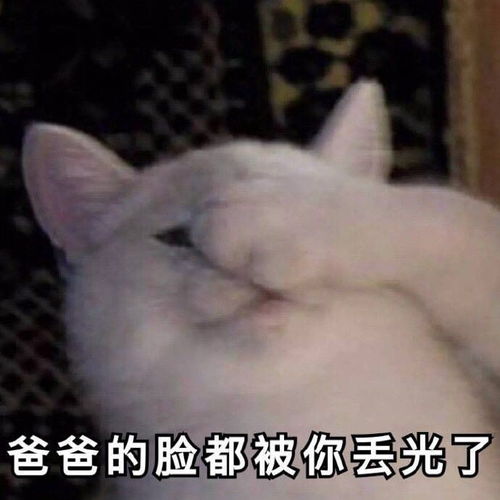 曝光怒怼绿茶现场内容极度舒适...