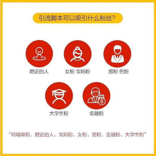 引流脚本能引流什么粉,如何用app引流脚本引流精准粉