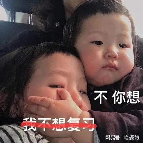 上学人专用表情包我学习我高贵
