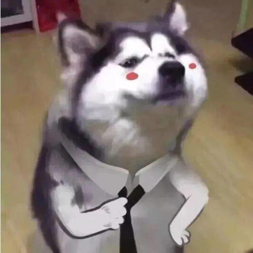 猜你喜欢的微信头像来了