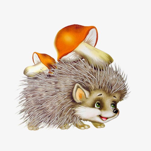 卡通刺猬素材图片免费下载高清png千库网图片编号3659294