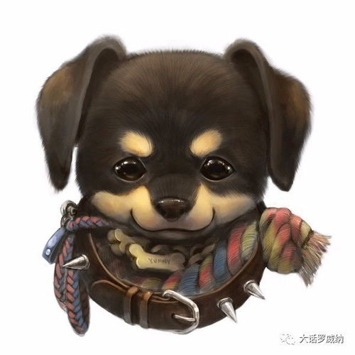 罗威纳这样看真的灰常灰常卡哇伊