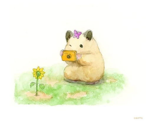 他的插画主角是一只仓鼠,可爱的举动,萌到心都化了