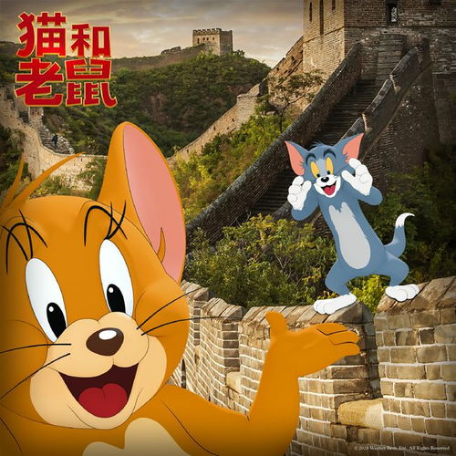 猫和老鼠真人动画片来啦还原原版动画,拒绝采用3d卡通形象