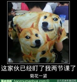 看我新发型吊炸天暴走漫画大合辑