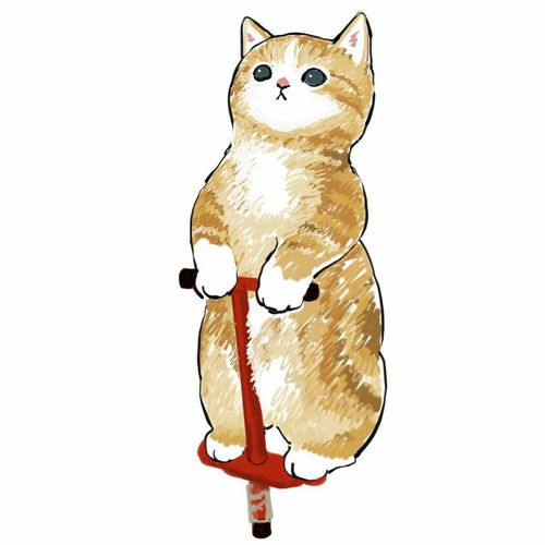 头像小猫咪有什么坏心思呢