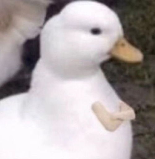 timthumb