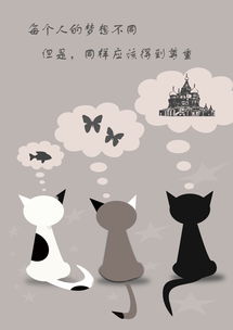 猫,梦想