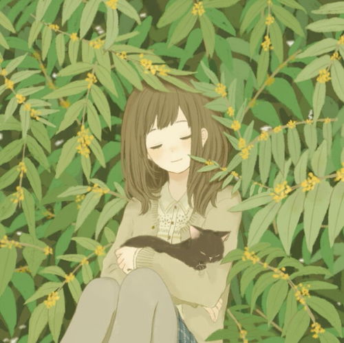 求治愈系致郁系唯美图片插画