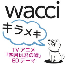 wacci单曲网易云音乐