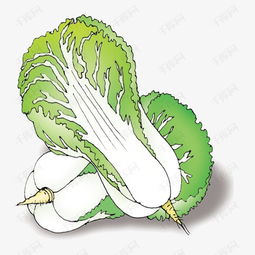 卡通大白菜素材图片免费下载高清效果元素png千库网图片编号2448297