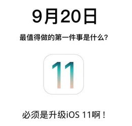 今早果粉起床第一件事是啥当然是给库克一个面子更新ios11
