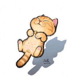 灬一坨喵饼子的美拍