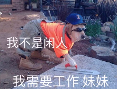 半佛老师视频里面的表情包无水印