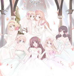 谁有一些好看的动漫新娘图片