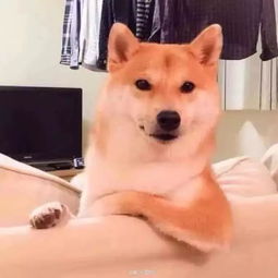 那年今天关于报到的两三事