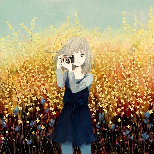 附录动画鉴赏能往哪里去