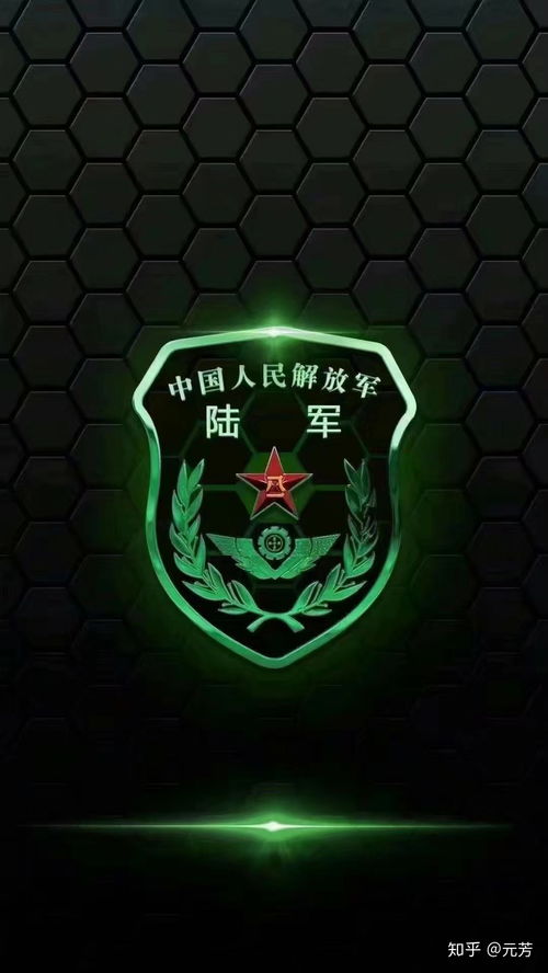 2020退伍复学流程元芳手把手教你