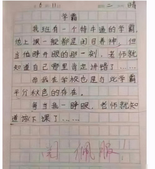 小学生满分作文我的家,不到200字用14个成语,老师自叹不如