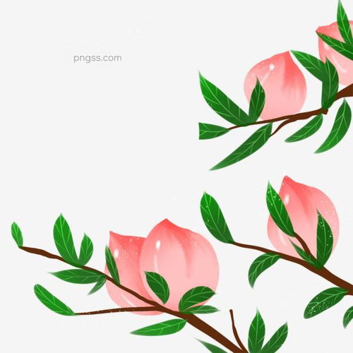 水果桃子插画图案图片大小2000x2000px图片尺寸1.43mb来自png搜索网pngss.com免费免扣png素材下载彩色插画创意绘画简约卡通树枝水果桃子图案小清新小元素装饰