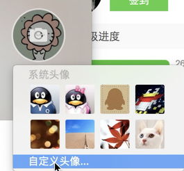 怎么在qqformac里修改自己的头像