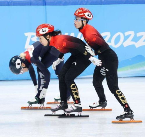要闻速递中国队晋级短道速滑女子3000米接力