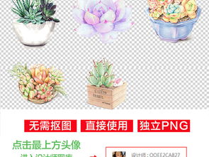 卡通手绘水彩多肉植物小清新多肉边框png免扣素材图片模板下载152.85mb花卉大全自然