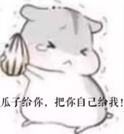 小奶狗睡觉时竟抱着这玩意,铲屎官笑出声,天生的守财奴啊