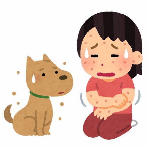 遛狗牵绳咬伤抓伤养猫养狗的人卡通插画免扣素材手绘png299职业社会职场生活