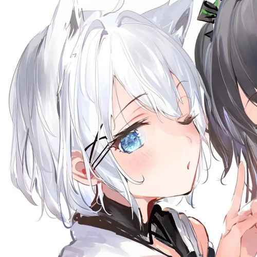 男也好女也好,我只知道我钟意你