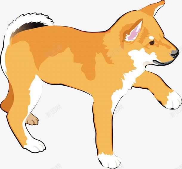 可爱柴犬狗狗页面网页平面电商创意素材狗狗素材