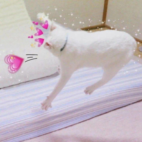 百看不厌的微信头像